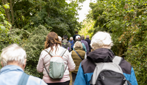 A group of people walking in the countryside on a sunny day.