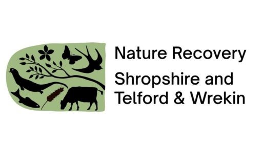 Nature Recovery Shropshire and Telford & Wrekin logo