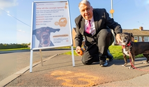 Dog foul enforcement campaign underway