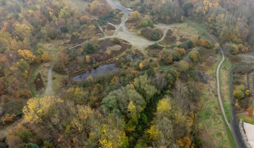 Langley Fields Local Nature Reserve