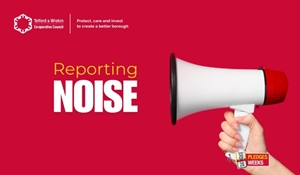 Reporting noise