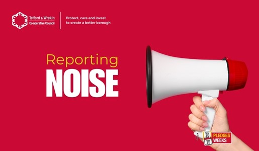 Reporting noise