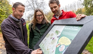 B Lines interpretation board