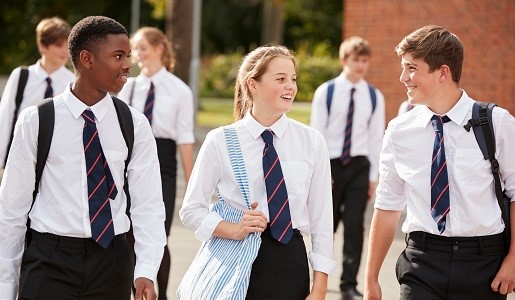 Group of secondary school pupils