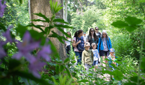 Families enjoying Park Walk in Telford Town Park, Telford Walk Week 2025