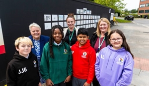 Hollinswood Primary artwork