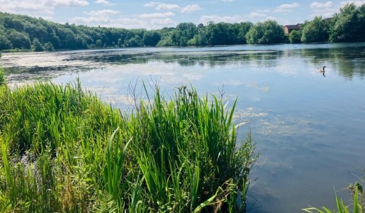 With 305 green spaces protected by Telford & Wrekin Council’s Green Guarantee, like the Priorslee Flash, pictured, the Green Pledge will extend that commitment to privately owned land.
