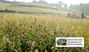 A meadow with a logo that says nature recovery Shropshire and Telford and Wrekin