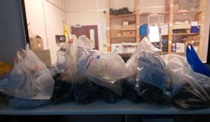 Illegal SARMs seized