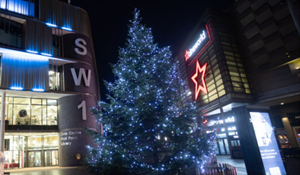 Christmas Tree outside SW1