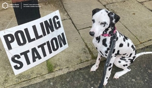 Polling Station Review