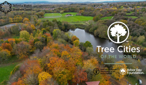 Telford’s urban greenery wins recognition for the fourth time