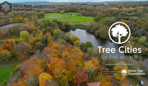 Telford’s urban greenery wins recognition for the fourth time