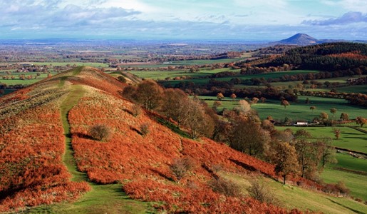 Shropshire, Telford & Wrekin Local Nature Recovery Strategy