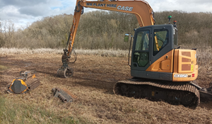 Muxton Marsh