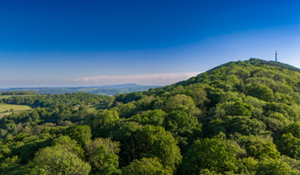 New summer bus service connects The Wrekin, Wellington and Ironbridge Gorge