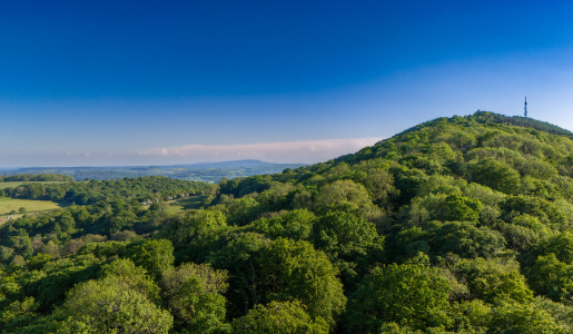 New summer bus service connects The Wrekin, Wellington and Ironbridge Gorge