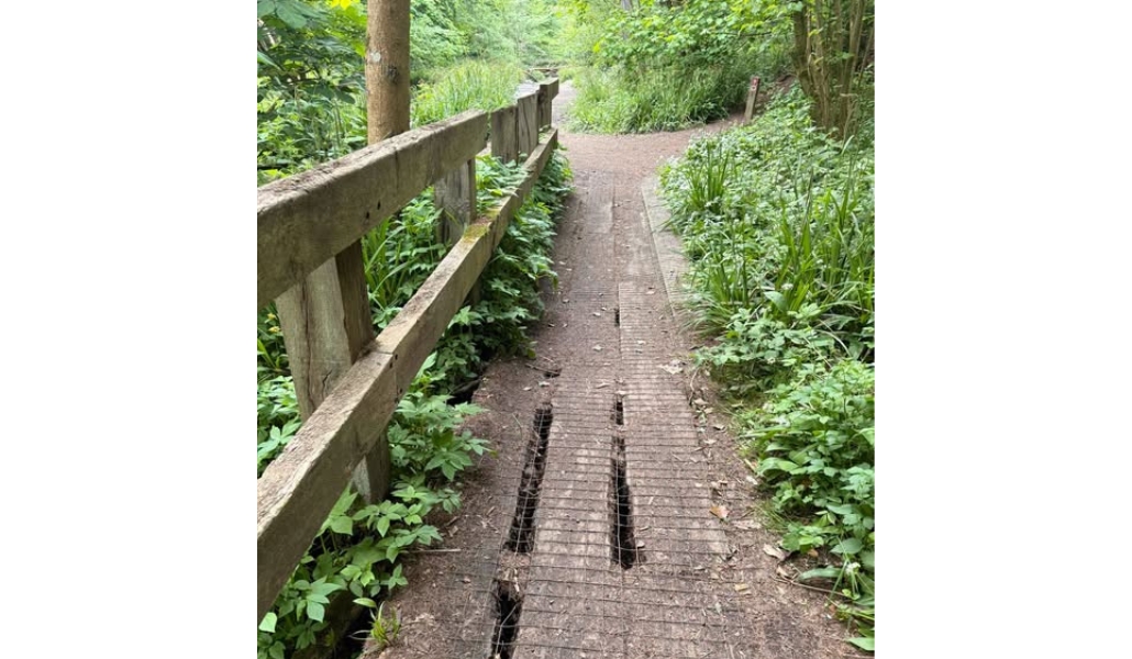 New boardwalk replacement project to begin at Loamhole Dingle