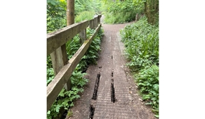 Loamhole Dingle boardwalk