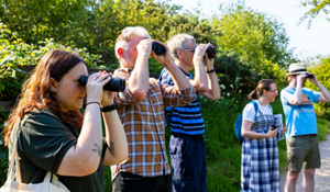 Telford & Wrekin Council Events - Telford Walk Week 2026