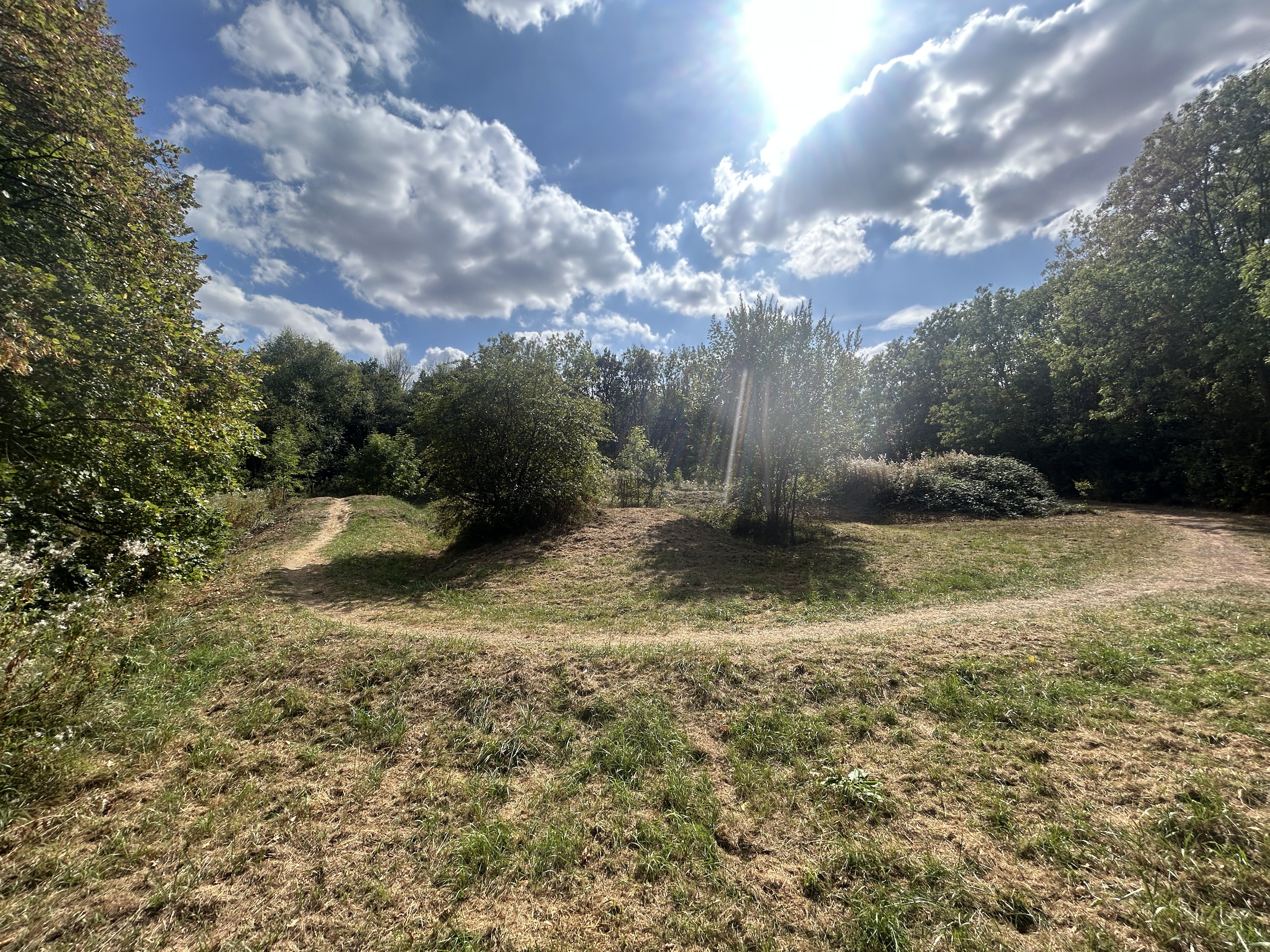 New Green Guarantee sites set to protect more valued green spaces across Telford and Wrekin